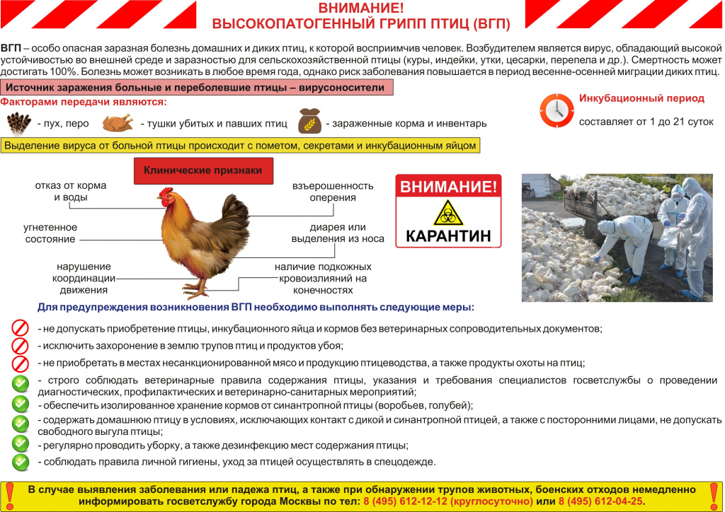 Раздатка ВГП.jpg Раздатка ВГП.jpg