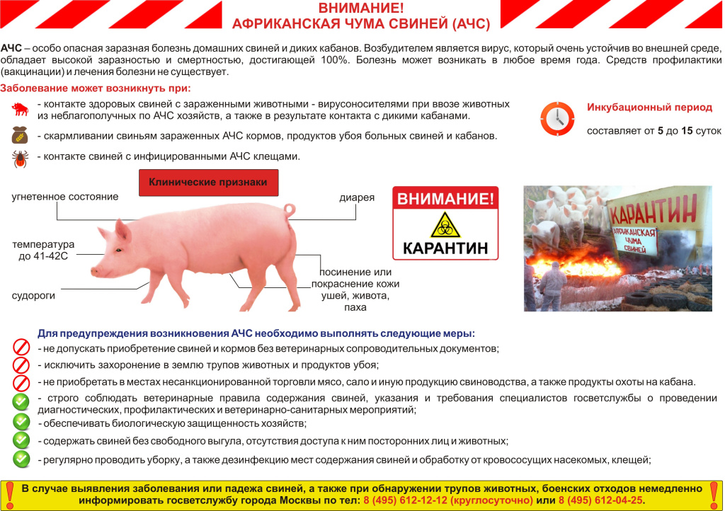 Раздатка АЧС.jpg