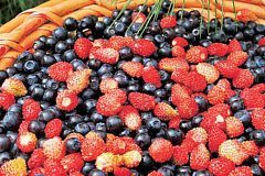 Усиление контроль за реализуемой пищевой продукцией